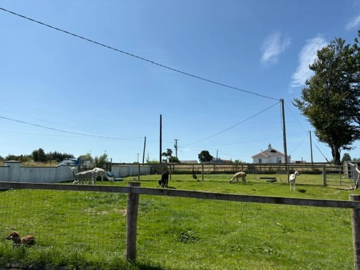 Cloonmaul, Loughglynn, Co. Roscommon - Image 4